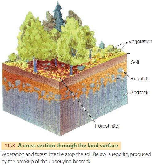 A cross section through the land surface