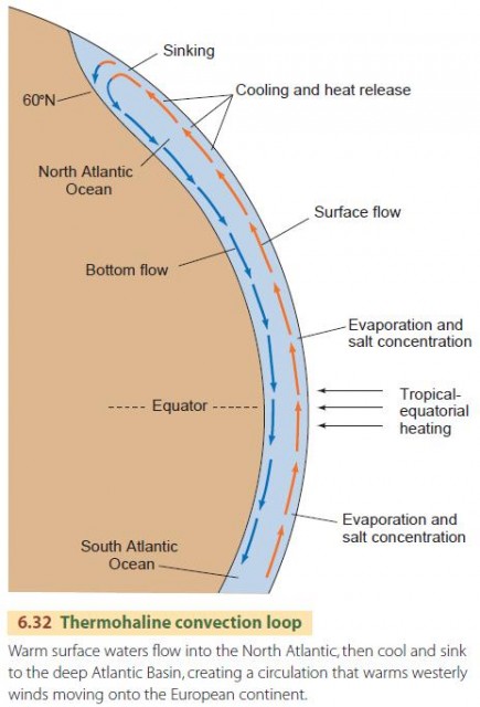 Thermohaline convection loop