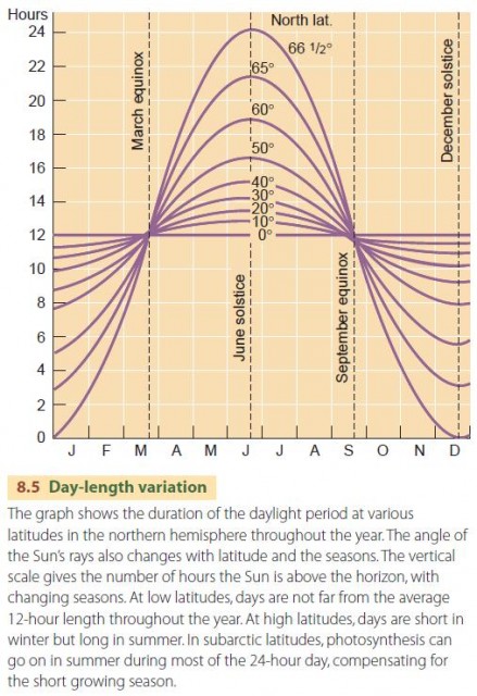 Day-length variation