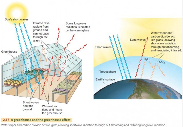 A greenhouse and the greenhouse effect