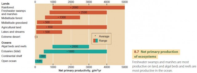 Net primary production of ecosystems