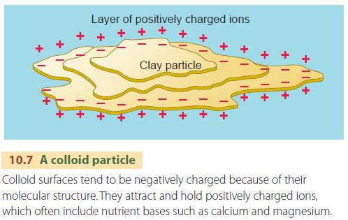 A colloid particle