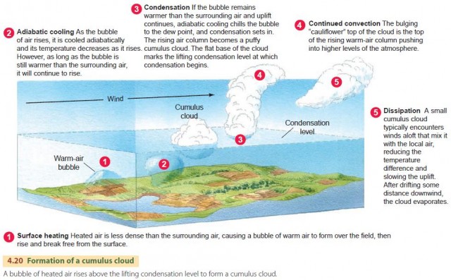 Formation of a cumulus cloud