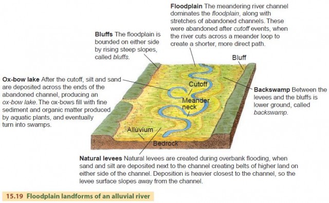Floodplain landforms of an alluvial river