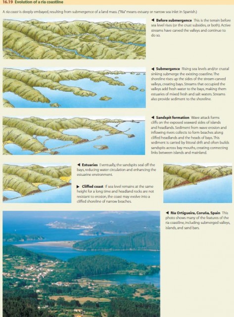 Evolution of a ria coastline