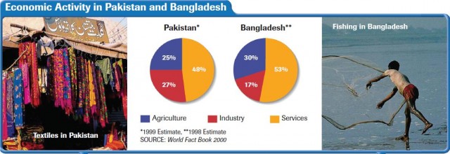 Economic Activity in Pakistan and Bangladesh