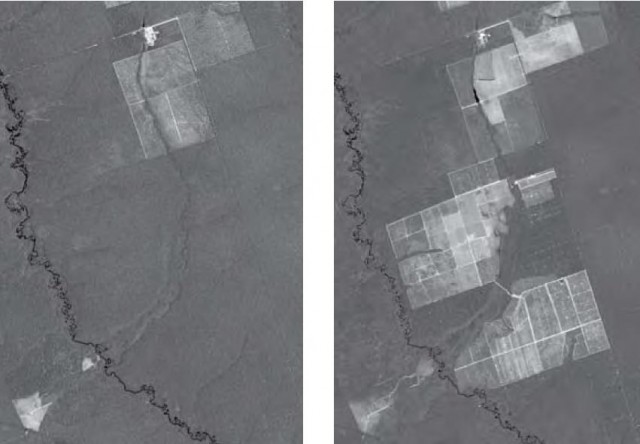 Running out fast: forest being cleared and made into fields in Mato Grosso, Brazil, between 2001 and 2006