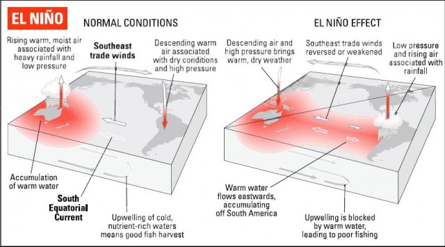 EL NINO