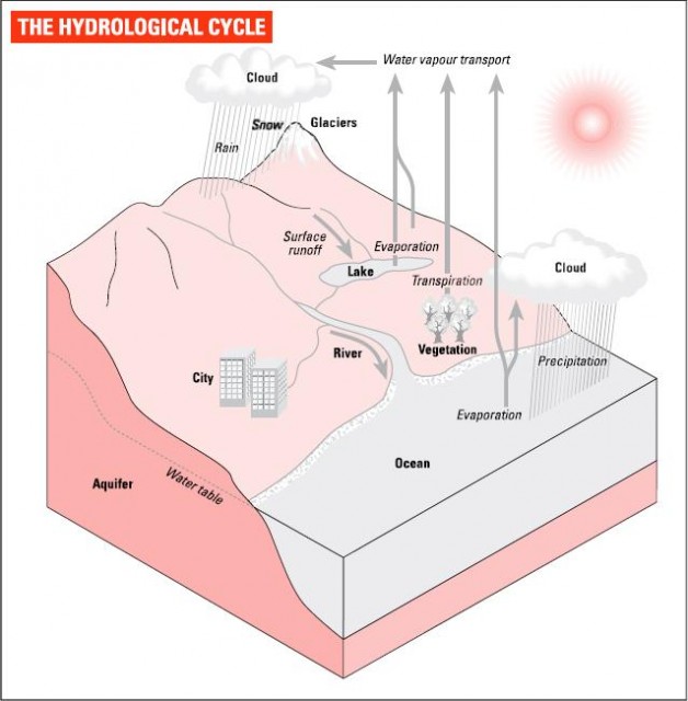 The hydrological cycle