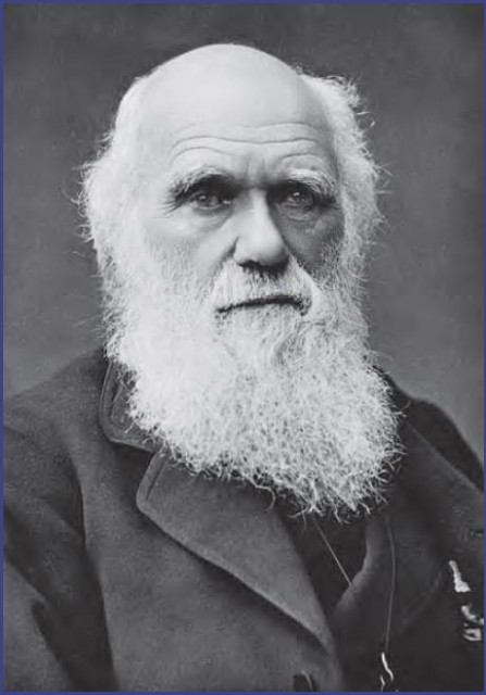 A photograph of Charles Darwin (1809–82) toward the end of his life (New York Public Library/Art Resource)