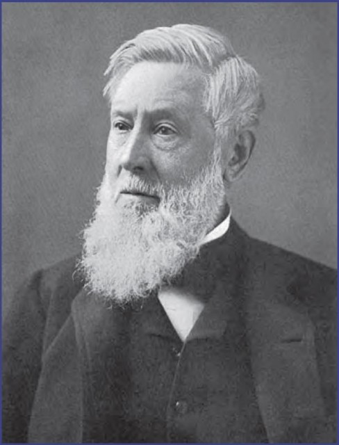 Asa Gray (1810–88), professor of natural history at Harvard University, was Charles Darwin's most influential American supporter. Gray was also the leading U.S. authority on plant classification and plant distribution. (Science, Industry & Business Library/New York Public Library/Science Photo Library)