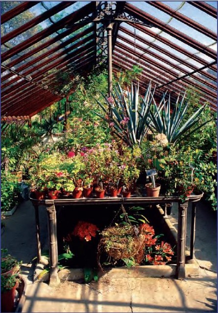 Chelsea Physic Garden, in London, has existed since 1673. Originally it was a place where students could learn to identify medicinal plants. This is greenhouse 56. (Peter Jousiffe/Science Photo Library)