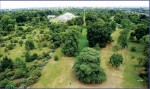 In 1762 a pagoda in the Chinese style was constructed in Kew Gardens. This photograph of the gardens was taken from the top of it in July 2003. The gardens cover about 300 acres (121 ha) and contain the world’s largest collection of living and preserved plants. It is a World Heritage Site. (Getty Images)