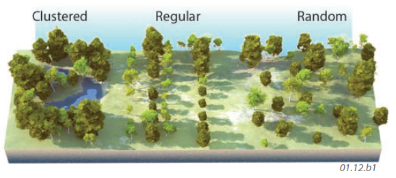 Types of Spatial Distributions