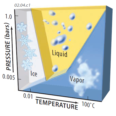 Water: Vapor, Liquid, and Ice