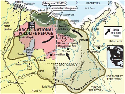 How Can Maps Be Used to Analyze and Interpret the Environment?