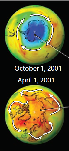 What Is Causing Depletion of Ozone and Formation of the “Ozone Hole”?