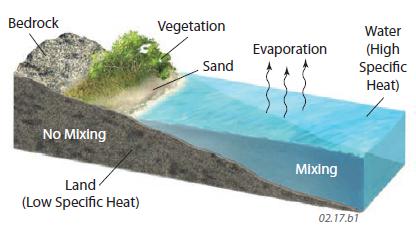 How Do Temperatures Reveal Thermal Differences Between Ocean and Land?