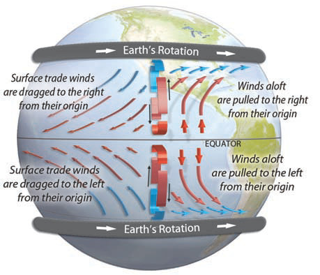 Influence of the Coriolis Effect