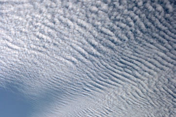 Cumuliform Clouds