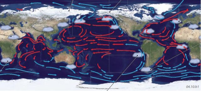 What Regional Settings Are Favorable for the Formation of Fog?