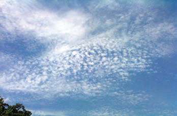 Cumuliform Clouds