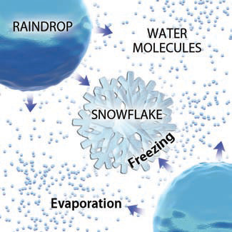 How Do Ice, Liquid, and Vapor Interact Within a Cloud?