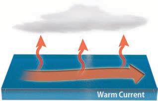Warm Ocean Current