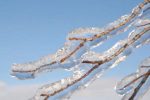 The Impacts of Freezing Rain