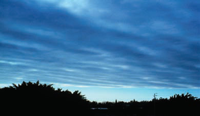 Stratiform Clouds