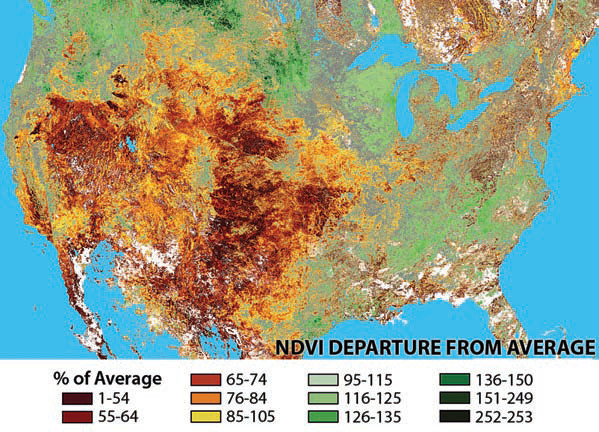 How Can We Quantify the Risk of Drought?