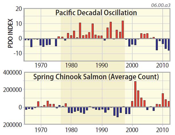 NUMBER OF SPAWNING SALMON RELATIVE TO AVERAGE NUMBER