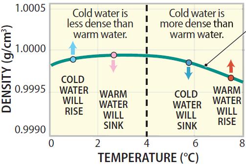 Sinking and Rising of Water as a Function of Temperature