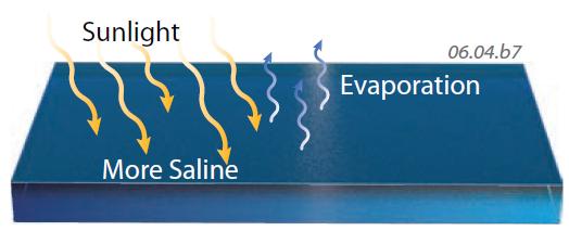 Increasing the Salinity of Water