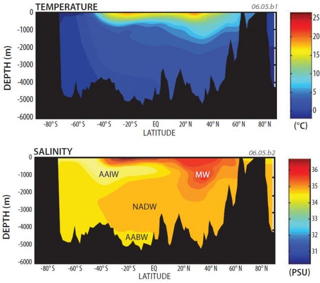 How Do Temperature and Salinity Vary with Depth?