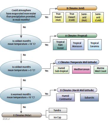 How Is the Koppen Classification System Organized?