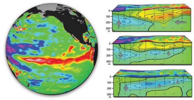 What Happens After the Kelvin Wave Hits South America?