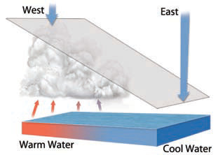 What Affects Precipitation in Temperate Climates?