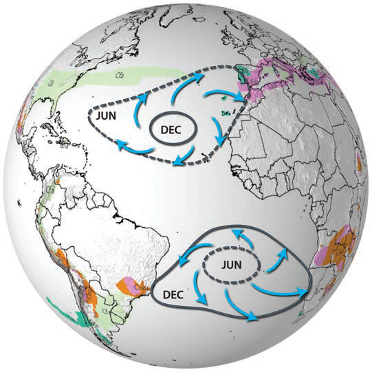 What Affects Precipitation in Temperate Climates?