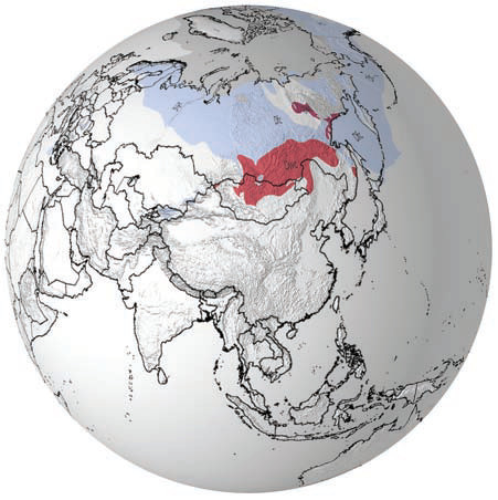 Where Are Subarctic, Tundra, and Ice Cap Climates Found?