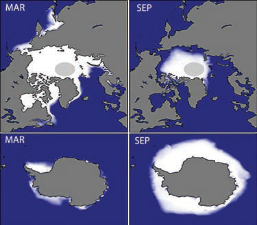 climates subarctic polar circulation atmospheric