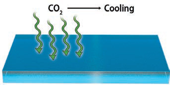 CO2 In and Out of the Oceans