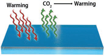 CO2 In and Out of the Oceans