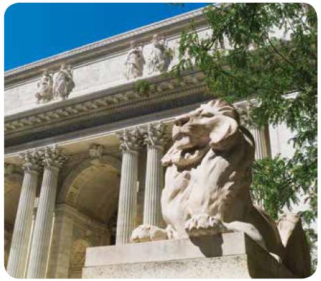 The New York Public Library is a grand building in the heart of the city