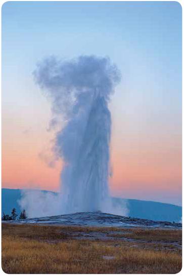Old Faithful erupts so consistently that scientists can predict when the eruptions will happen.